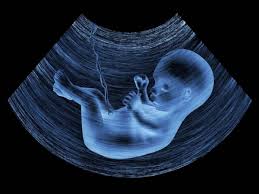 egg freezing